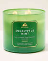 Eucalyptus Mint 3-Wick Candle