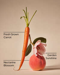 Carrot & Nectarine 3-Wick Candle