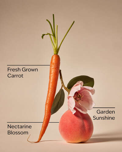 Carrot & Nectarine 3-Wick Candle