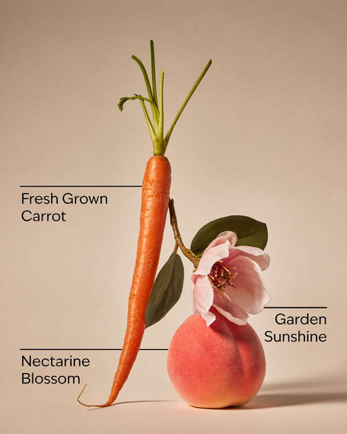 Carrot & Nectarine 3-Wick Candle