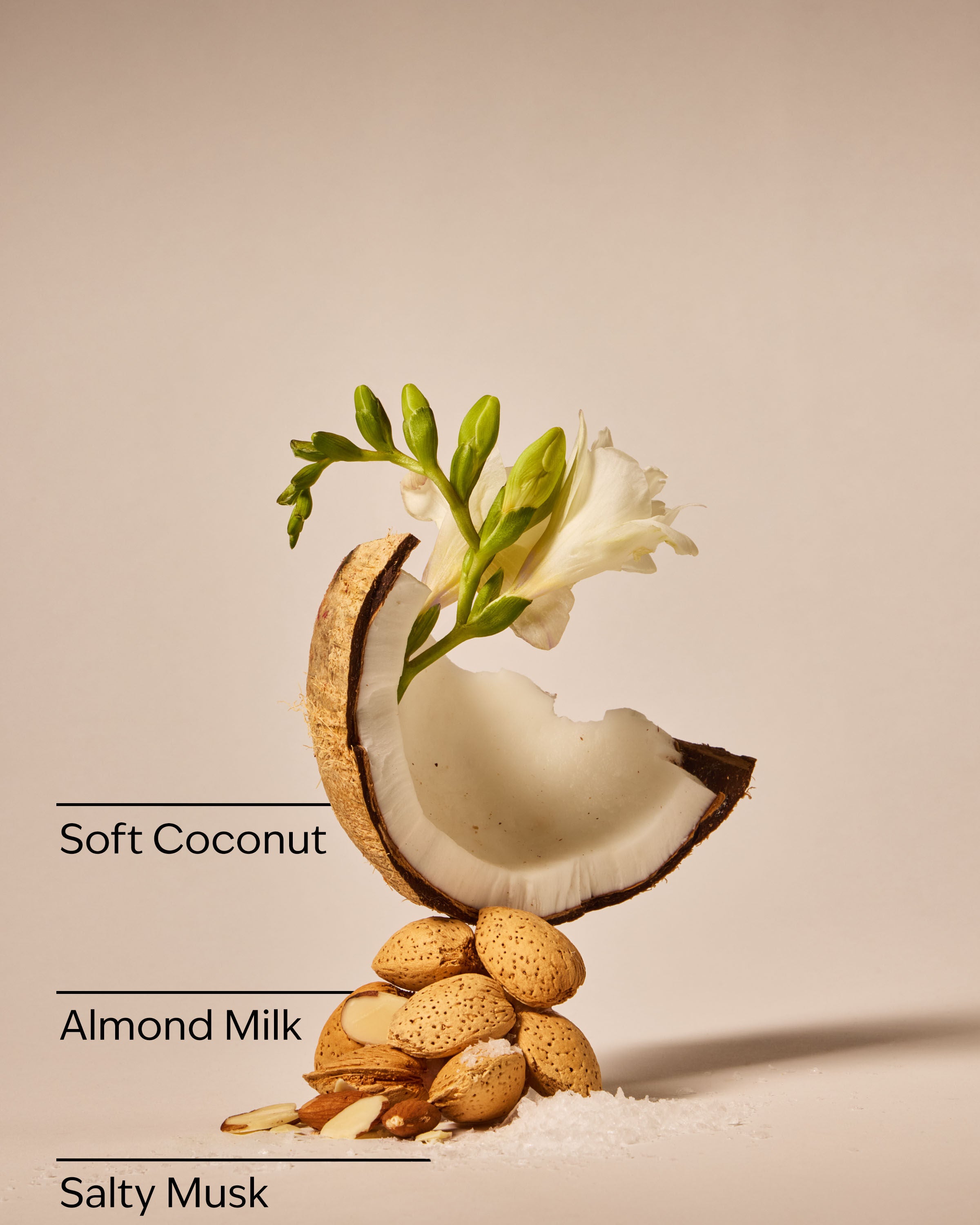 Coconut Linen Laundry Dryer Sheets | Bath & Body Works