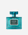 Lasting Legacy Cologne