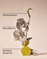Platinum Daily Nourishing Body Lotion