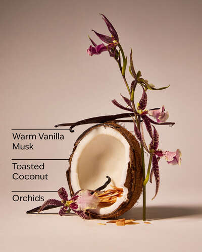 Tiki Beach Wallflowers Fragrance Refill