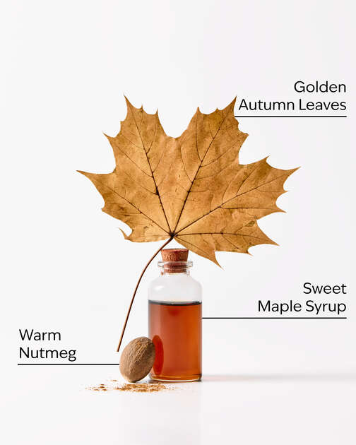 Sweet Maple & Leaves 3-Wick Candle
