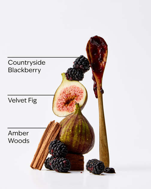 Wild Blackberry Jam Body Lotion