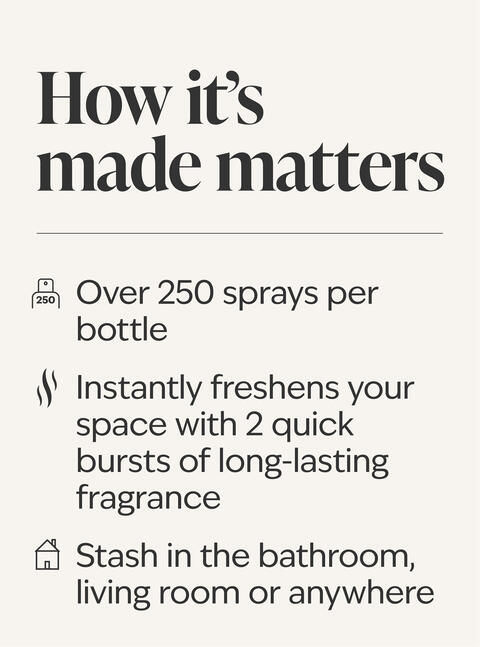 Clean House Vibes - Holiday Edition Concentrated Room Spray