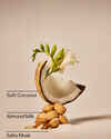Coconut Linen Laundry Detergent