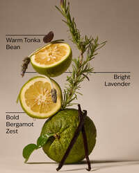 Lavender Bergamot 3-Wick Candle