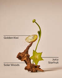 Sweet Kiwi & Starfruit Wallflowers Refills 2-Pack