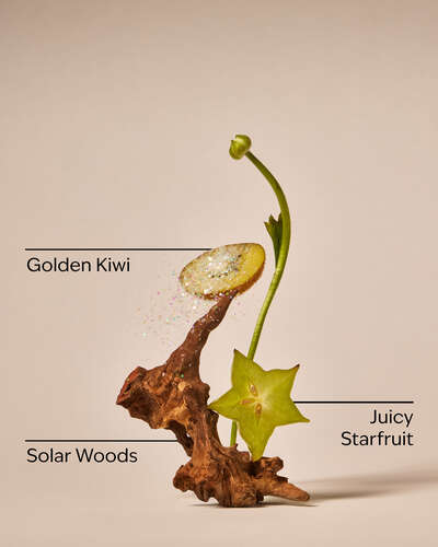 Sweet Kiwi & Starfruit Wallflowers Refills 2-Pack