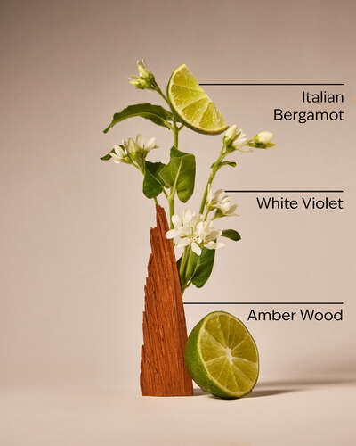 Sunwashed Santal PocketBac Hand Sanitizer