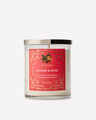 Simmer & Spice Single Wick Candle