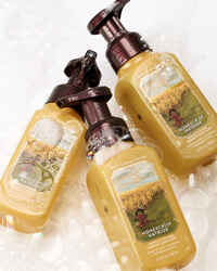 Honeycrisp Hayride Gentle & Clean Foaming Hand Soap