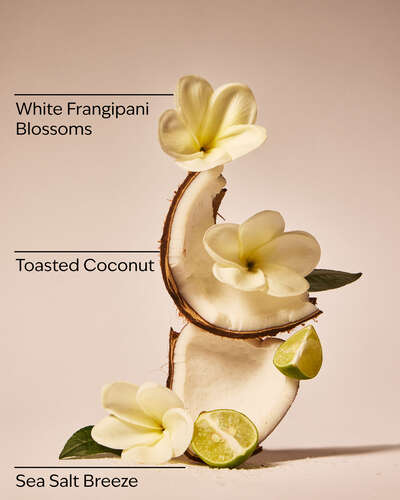 At the Beach Smooth & Soothe Body Cream