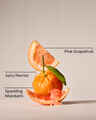Kitchen Grapefruit Dish Wash