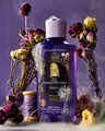 Sally Body Wash