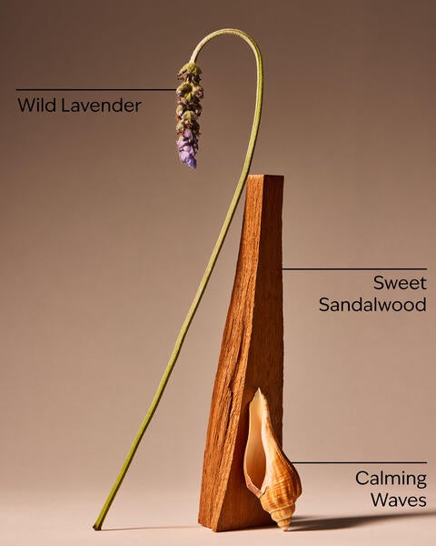 Oceanside Lavender 3-Wick Candle