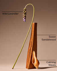 Oceanside Lavender 3-Wick Candle