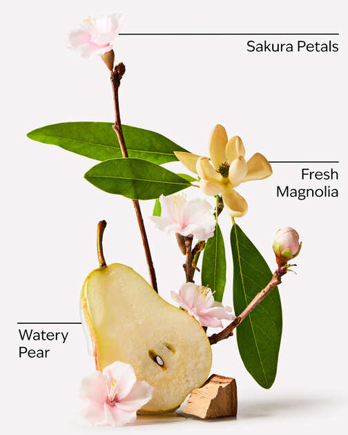 Forever Cherry Blossom Body Lotion