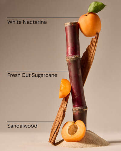 Fiji White Sands 3-Wick Candle