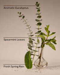 Eucalyptus Rain 3-Wick Candle