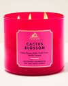 Cactus Blossom 3-Wick Candle