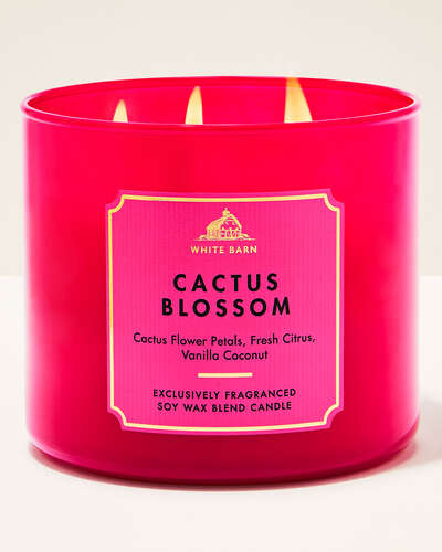 Cactus Blossom 3-Wick Candle