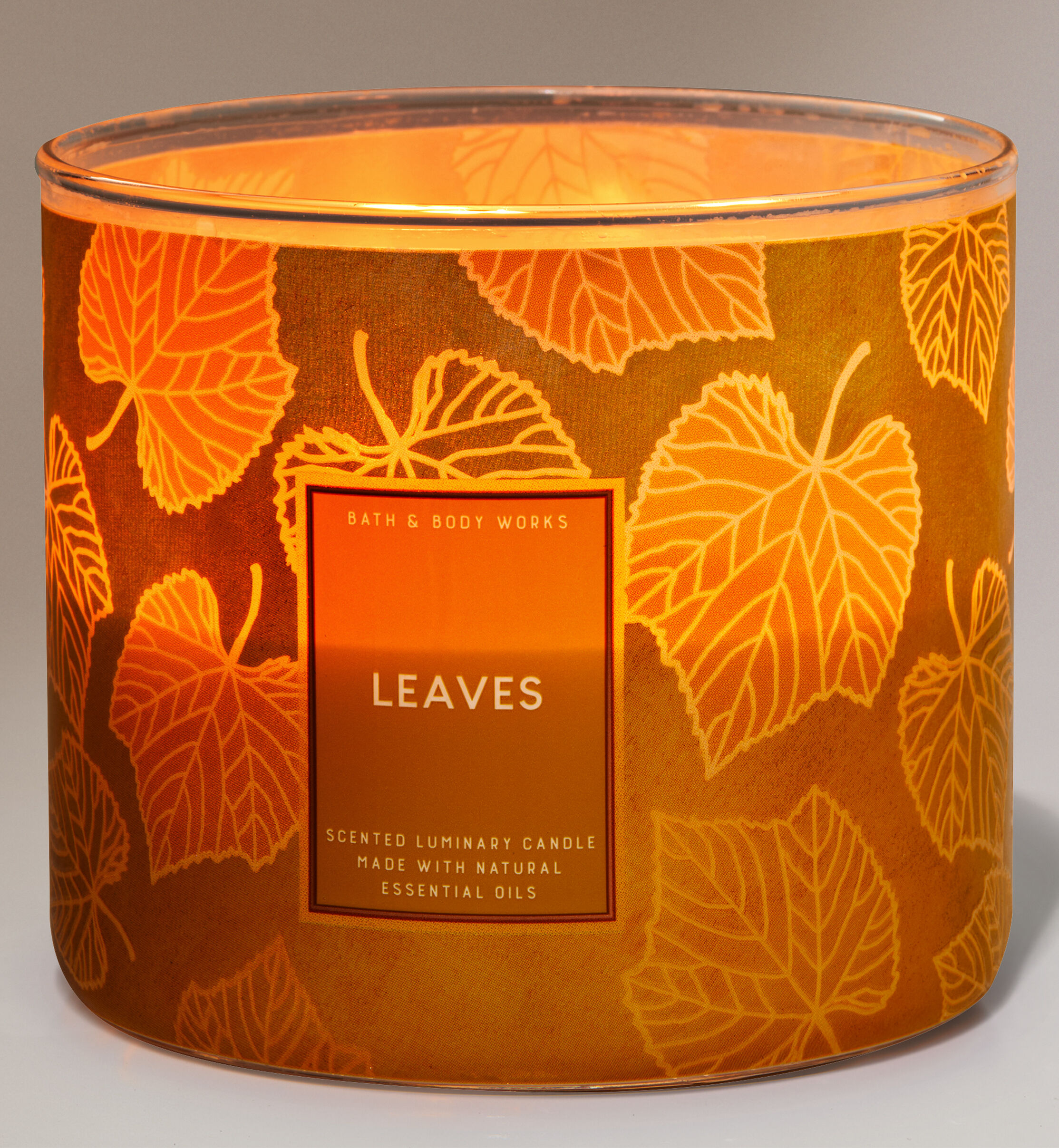 1 Bath & Body Works AUTUMN TRAIL Large 3-Wick Filled Candle 