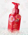 Bright Christmas Morning Gentle & Clean Foaming Hand Soap