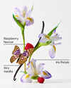 Butterfly Fine Fragrance Mist