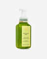 Eucalyptus Mint Gentle & Clean Foaming Hand Soap