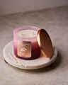 Apple Cinnamon Spice 3-Wick Candle