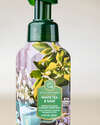 White Tea & Sage Gentle & Clean Foaming Hand Soap