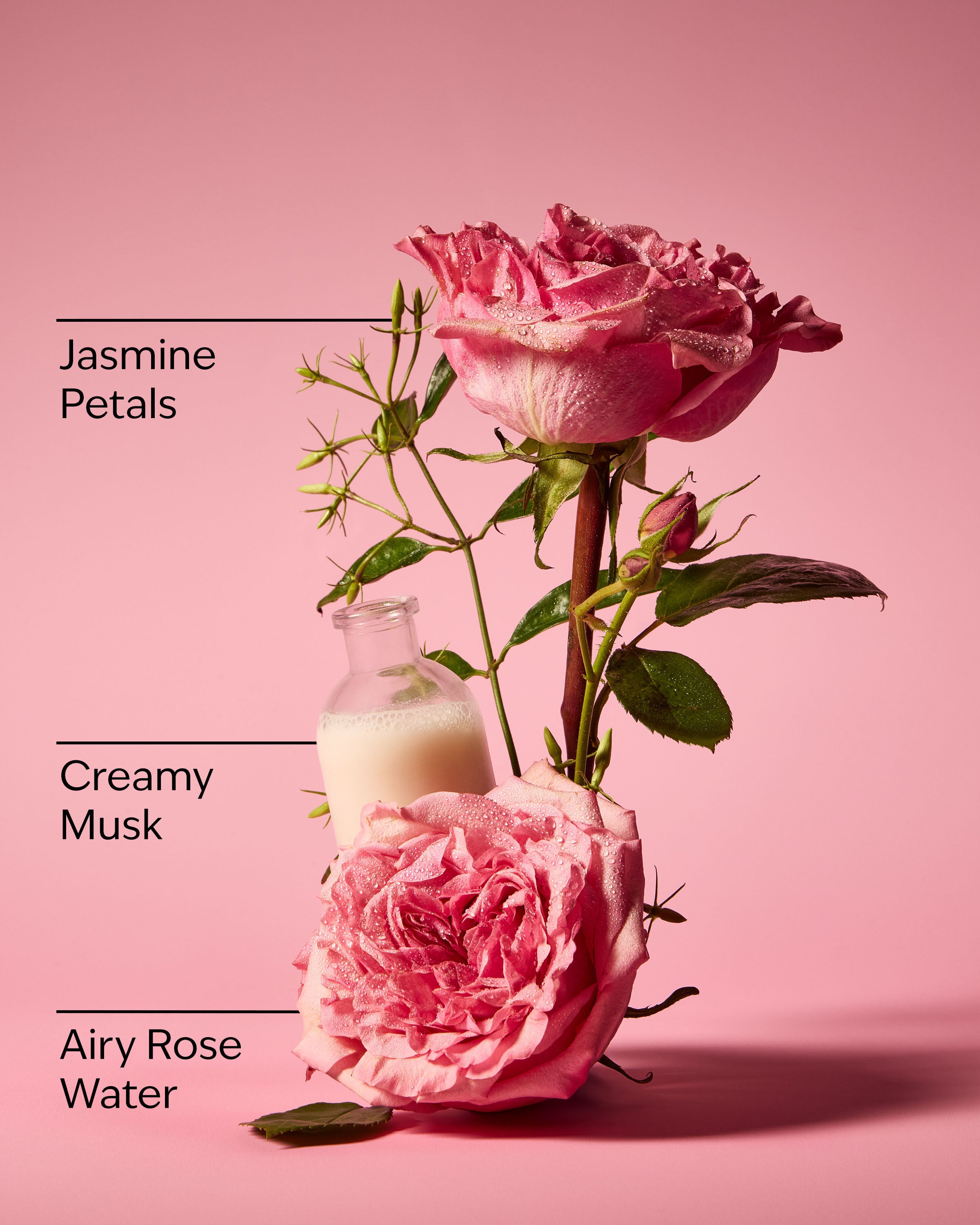 Rose Body Wash & Shower Gel | Bath & Body Works