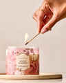 Maple Pumpkin 3-Wick Candle