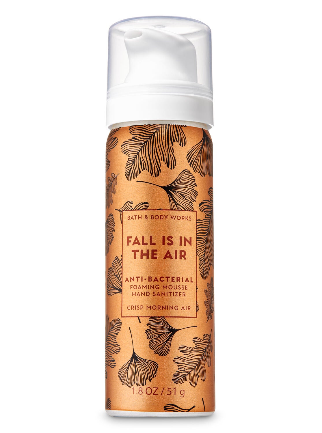 Crisp Morning Air Foaming Hand Sanitizer - Bath And Body Works