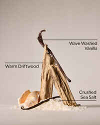 Coastal Dreaming Body Lotion