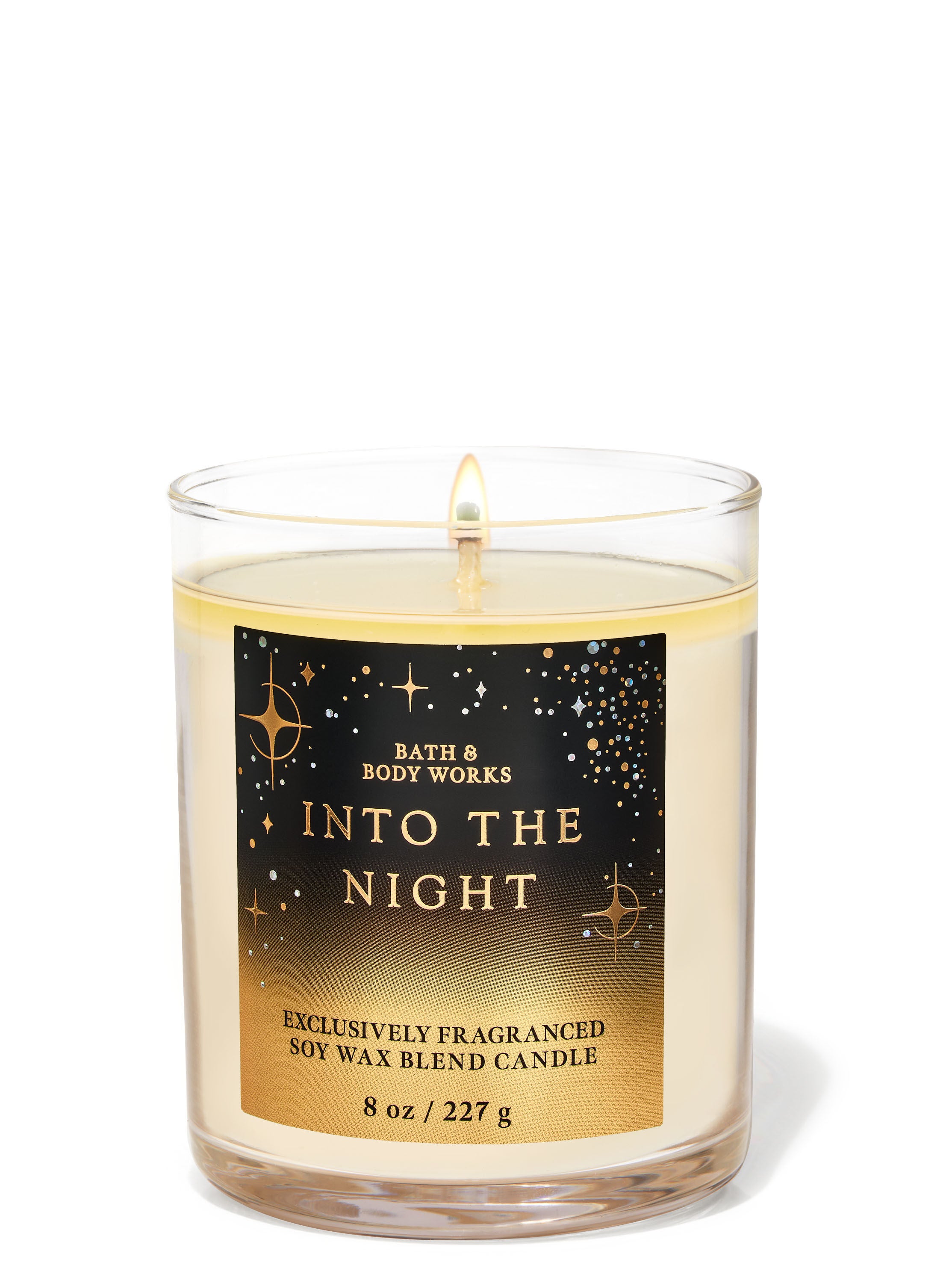 Into the Night Single Wick Candle | Bath & Body Works