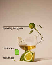 White Tea & Sage Gentle & Clean Foaming Refill