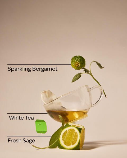 White Tea & Sage Gentle & Clean Foaming Refill