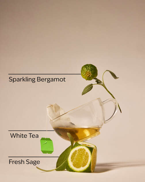 White Tea & Sage Gentle & Clean Foaming Refill