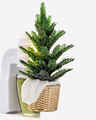 Evergreen Tree Nightlight Wallflowers Fragrance Plug