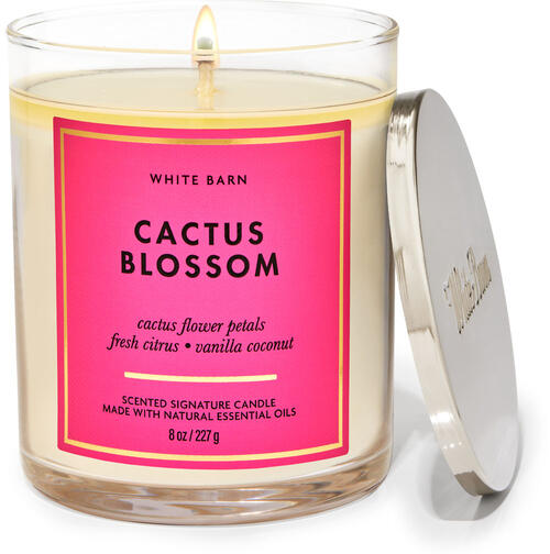 Cactus Blossom Signature Single Wick Candle