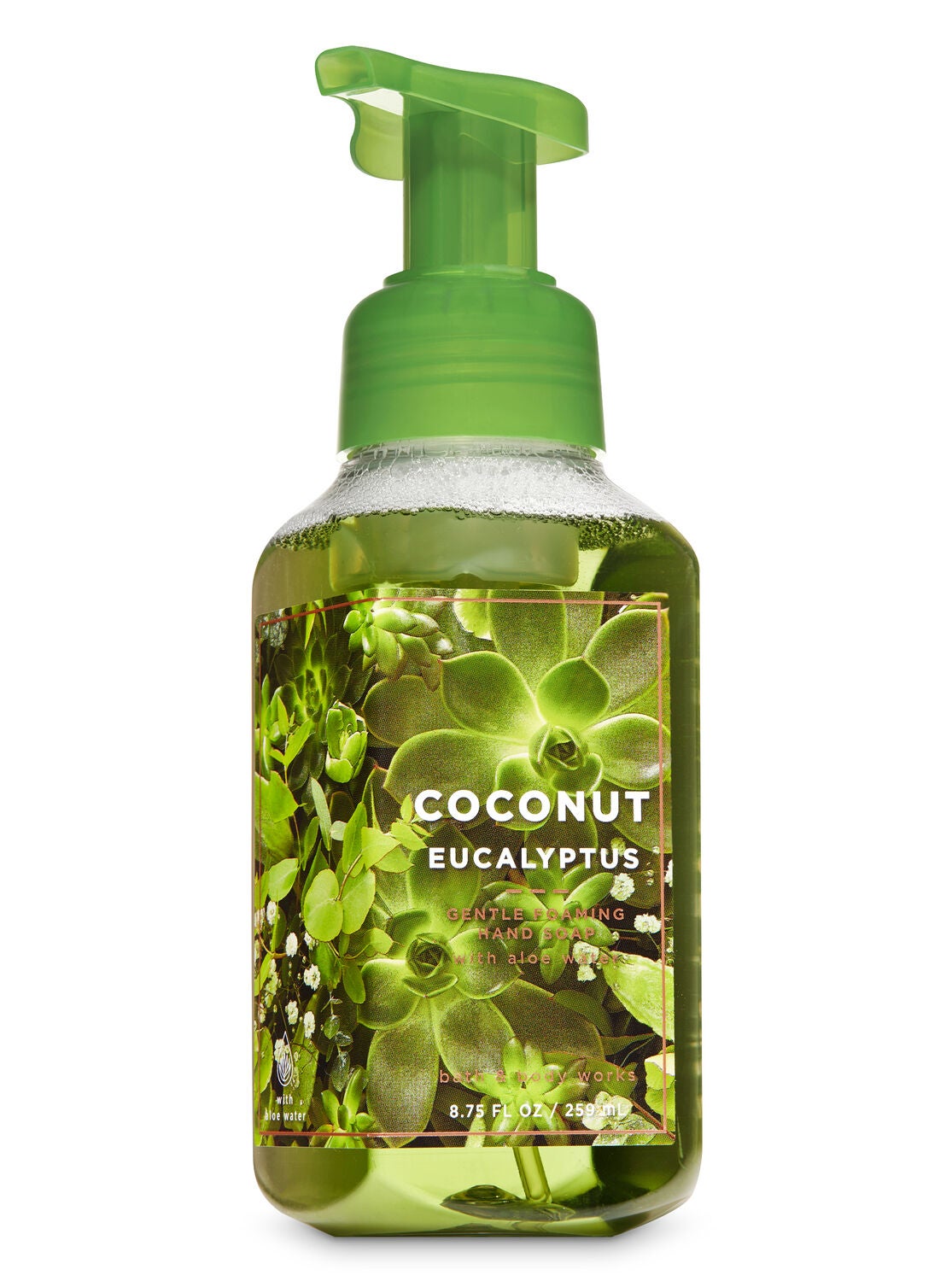 Coconut Eucalyptus Gentle Foaming Hand Soap - Bath And Body Works