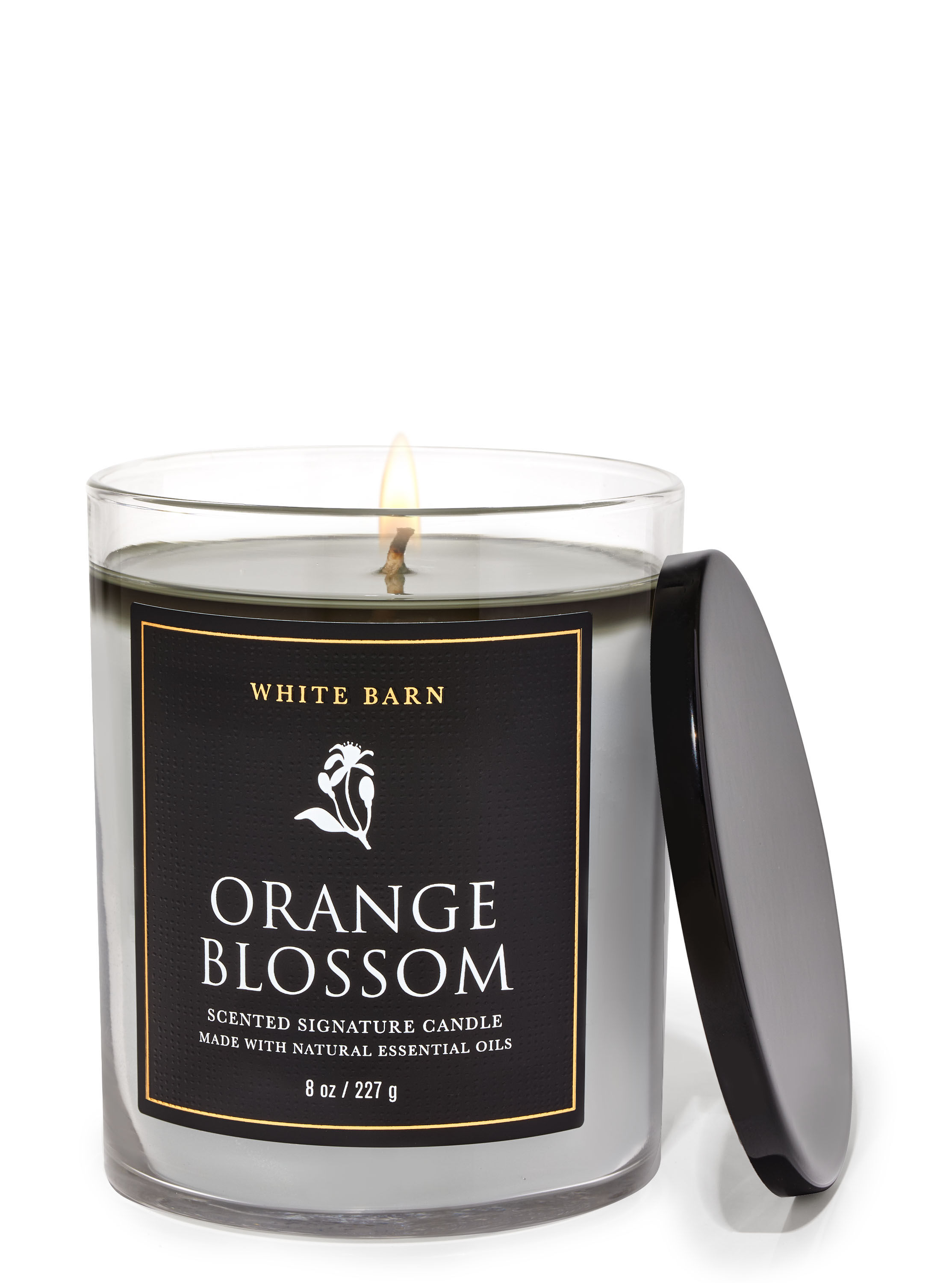 Orange Blossom Signature Single Wick Candle
