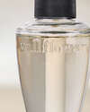 Vanilla Embers Wallflowers Fragrance Refill