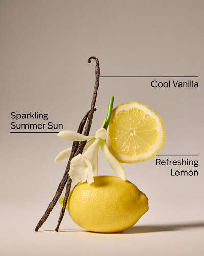 Lemon Vanilla 3-Wick Candle