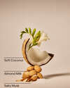 Coconut Linen Single Wick Candle