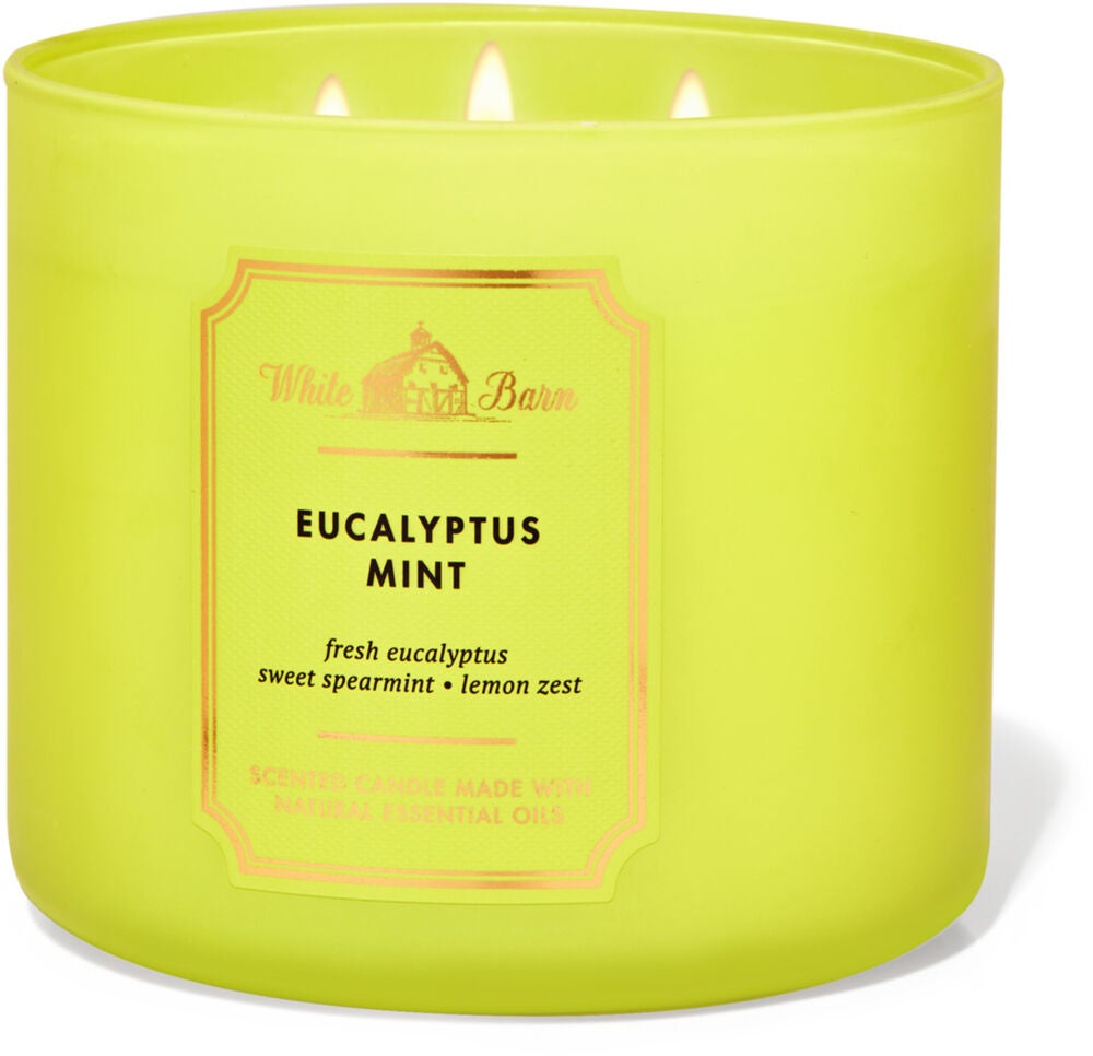 Eucalyptus Mint 3-Wick Candle